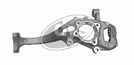 Fusée d'essieu, suspension de roue DYS 79-01300R