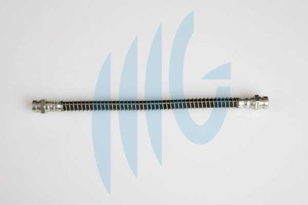 Flexible de frein RICAMBIFLEX GM 02160884