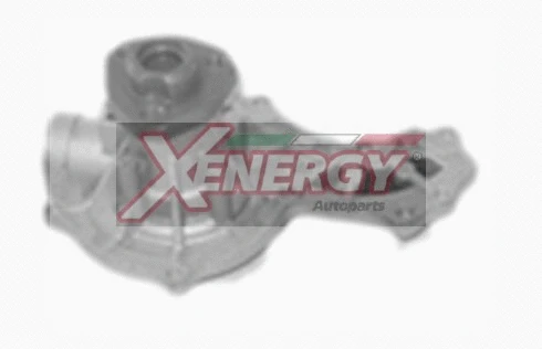 Pompe à eau, refroidissement du moteur AP XENERGY X205812
