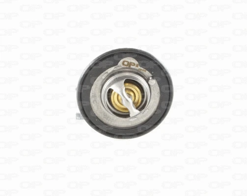 Thermostat, liquide de refroidissement OPEN PARTS TRM1079.00