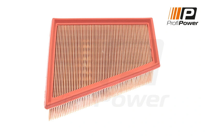 Filtre à air ProfiPower 2F0021