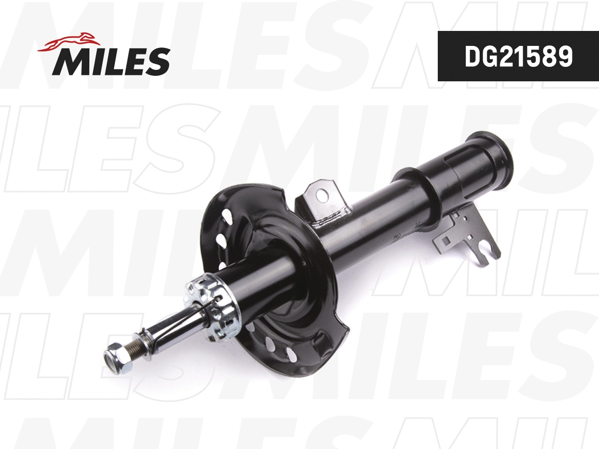 Amortisseur MILES DG21589