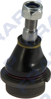Rotule de suspension FRAP F184