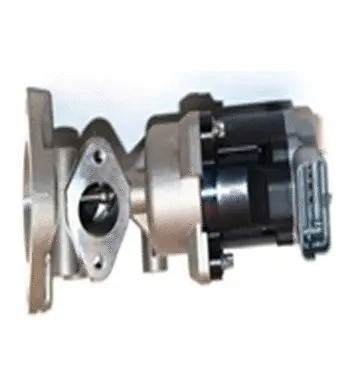 Vanne EGR ASSO 70.0065