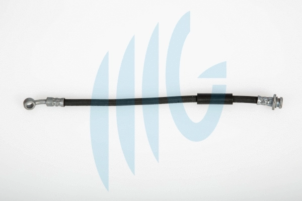 Flexible de frein RICAMBIFLEX GM 02520963
