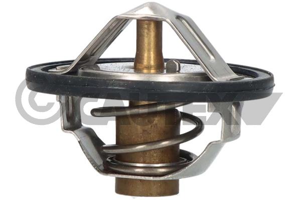 Thermostat, liquide de refroidissement CAUTEX 756887