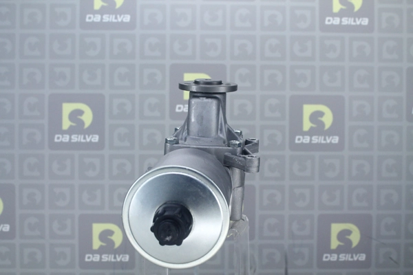 Pompe hydraulique, direction DA SILVA DP2786