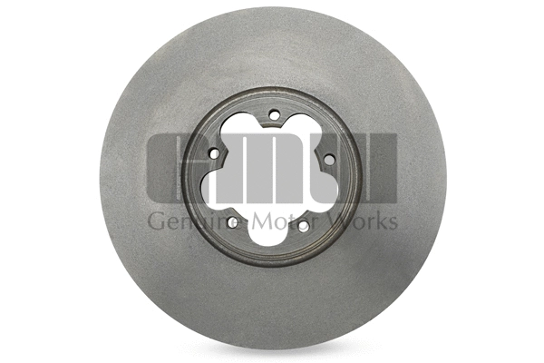 Disque de frein GMW BD206125AA