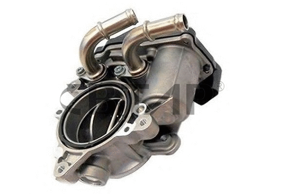 Corps papillon BTAP BVE313-005