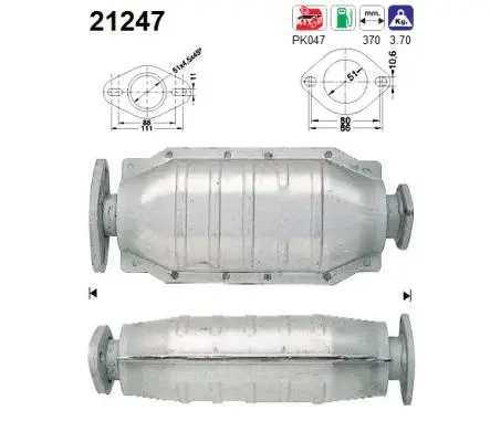 Catalyseur AS 21247