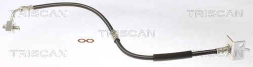 Flexible de frein TRISCAN 8150 81004