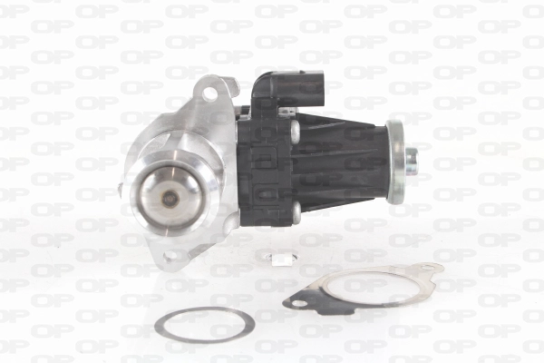 Vanne EGR OPEN PARTS EGR3004.00