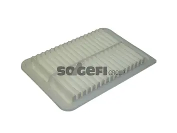 Filtre à air FRAM CA10171