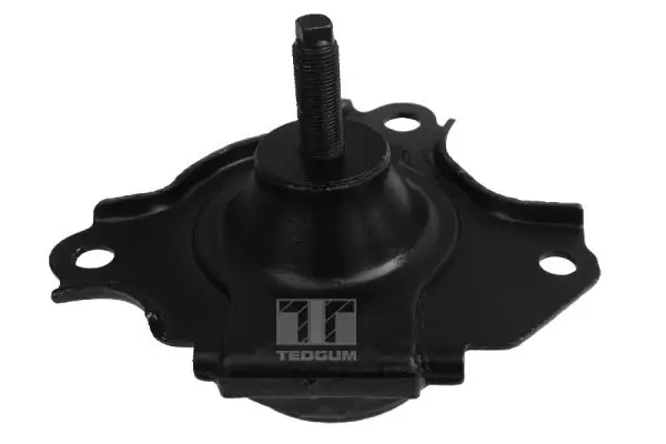 Support moteur TEDGUM 00262046