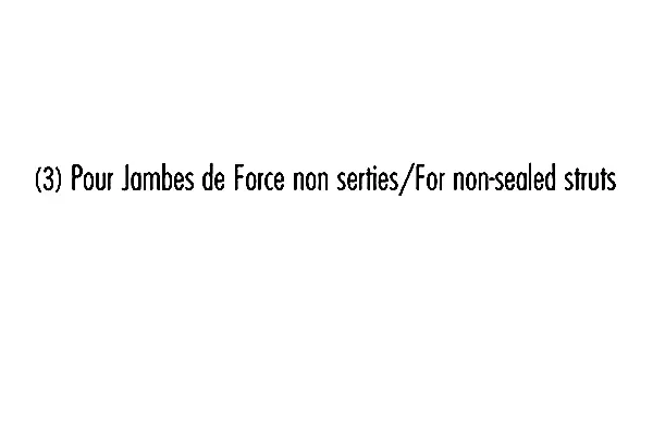 Amortisseur RECORD FRANCE 103989