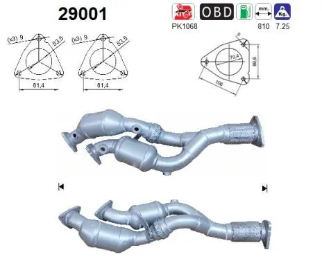 Catalyseur AS 29001