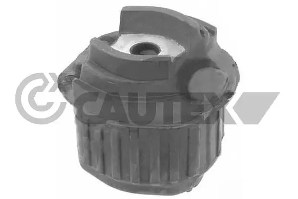 Suspension, corps de l'essieu CAUTEX 755703