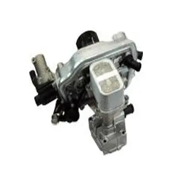 Vanne EGR ASSO 70.0132