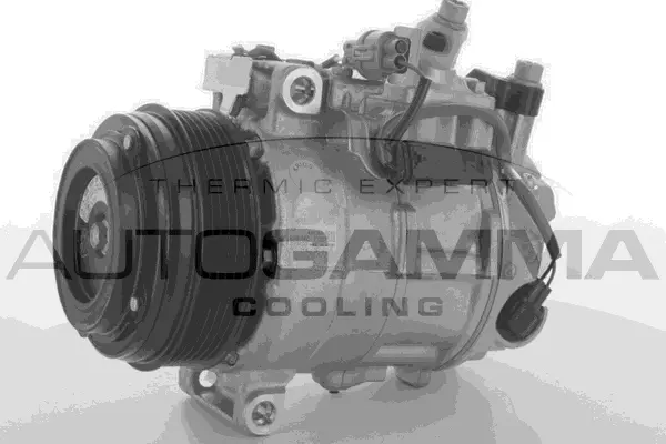 Compresseur, climatisation AUTOGAMMA 118561