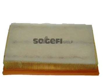 Filtre à air FRAM CA9022