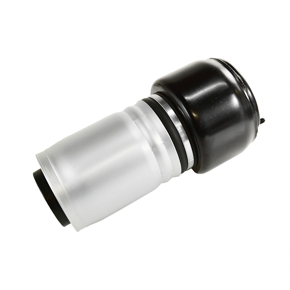 Ressort pneumatique, châssis Miessler Automotive 173-01-6013