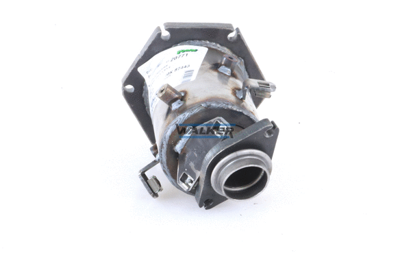Catalyseur WALKER 20771