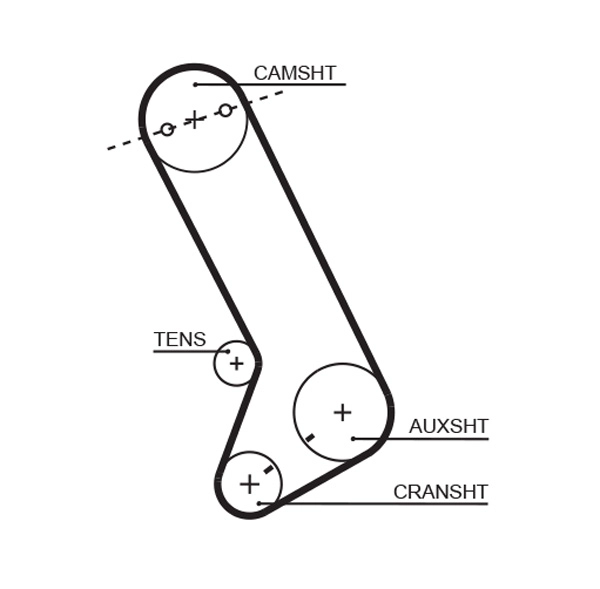 Courroie crantée GATES-MX T071