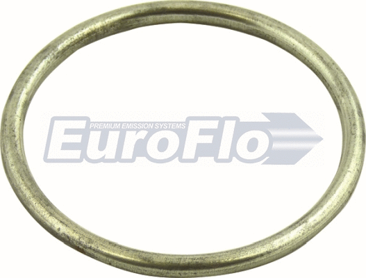 Joint, tuyau d'échappement EuroFlo EMG019
