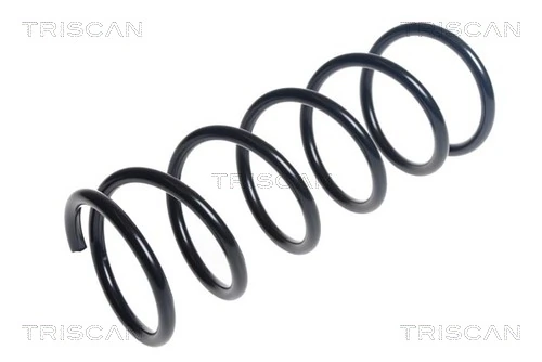 Ressort de suspension TRISCAN 8750 14123