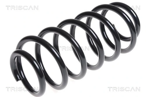 Ressort de suspension TRISCAN 8750 1741