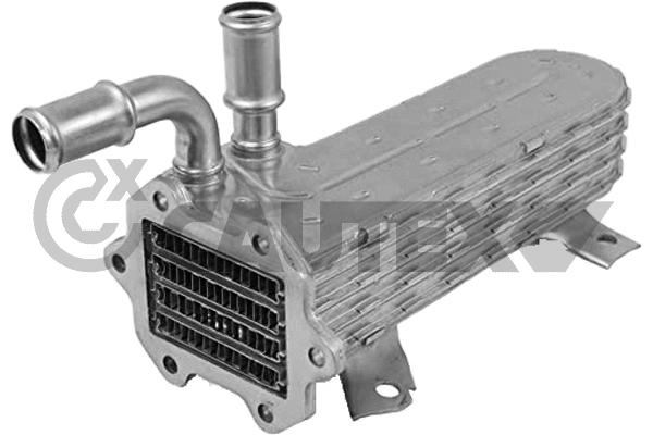Radiateur, réaspiration des gaz d'échappement CAUTEX 774764