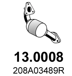 Catalyseur ASSO 13.0008