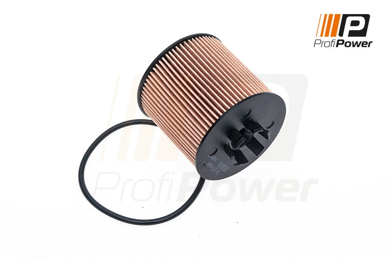 Filtre à huile ProfiPower 1F0088