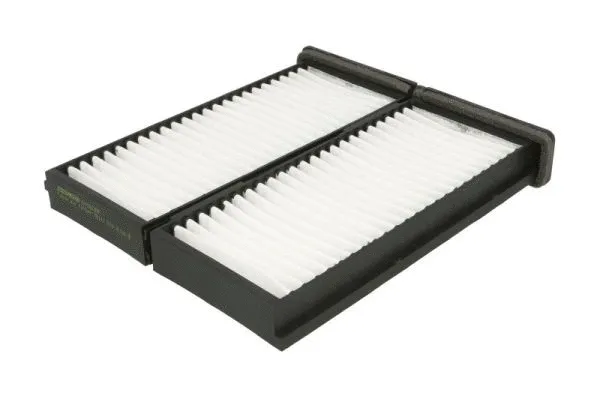 Filtre, air de l'habitacle JC PREMIUM B45002PR