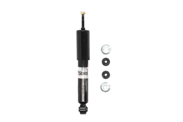 Amortisseur Magnum Technology AG1098MT