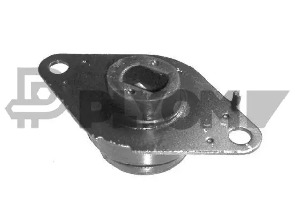 Support moteur PLYOM P020164