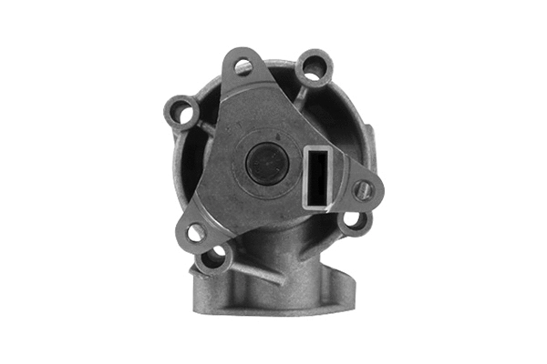 Pompe à eau, refroidissement du moteur SKF Brazil VKPC 82647