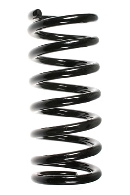 Ressort de suspension SPIDAN 48810