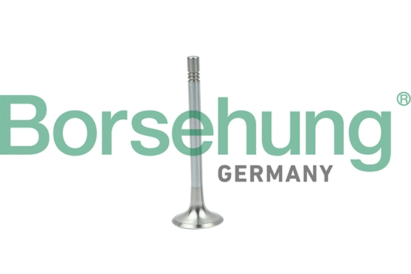 Soupape d'émission Borsehung B19004