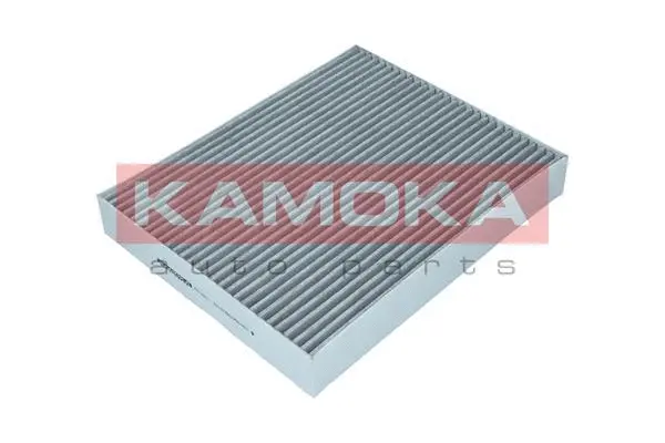Filtre, air de l'habitacle KAMOKA F513201