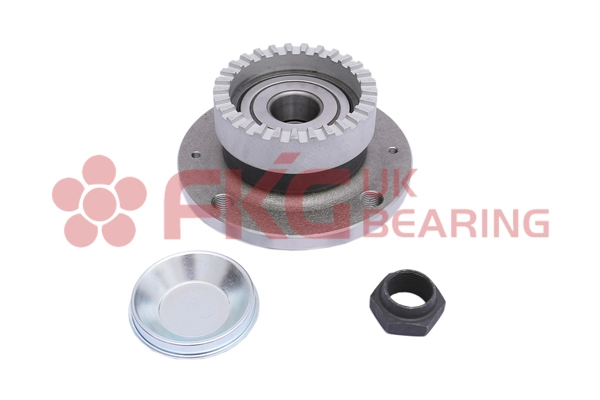 Kit de roulements de roue FKG GL4391S