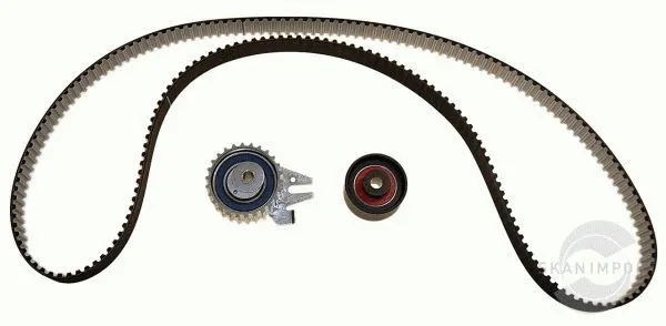 Kit de courroie crantée SKANIMPORT ZRS 5336