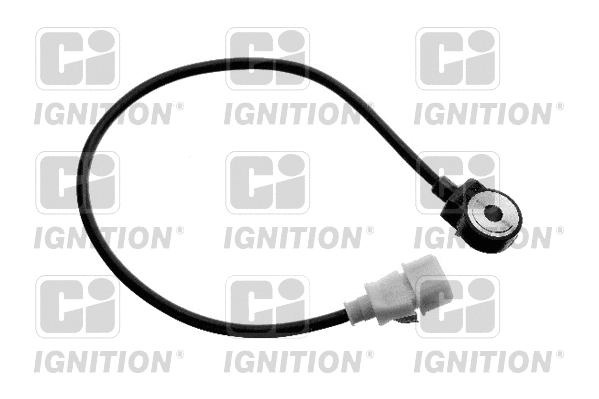 Capteur de cognement QUINTON HAZELL XKS31