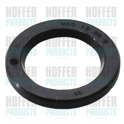 Kit de réparation, injecteur HOFFER 98527