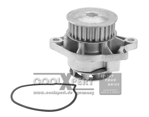 Pompe à eau, refroidissement du moteur BBR Automotive 002-60-11563