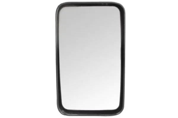 Rétroviseur extérieur PACOL IVE-MR-004