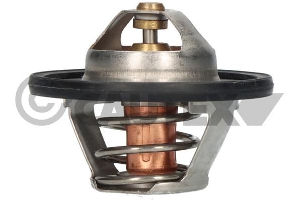 Thermostat, liquide de refroidissement CAUTEX 756862