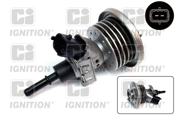 Injecteur QUINTON HAZELL XPSI173