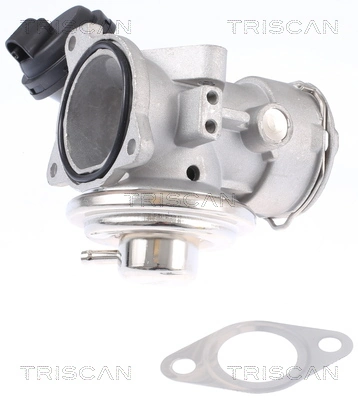 Vanne EGR TRISCAN 8813 29308