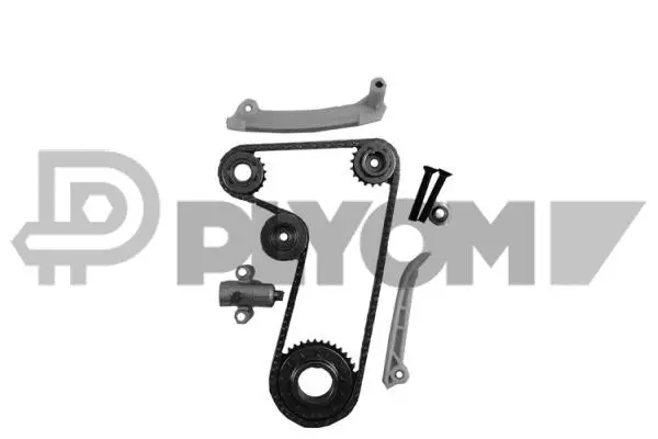 Kit de distribution par chaîne PLYOM P752032